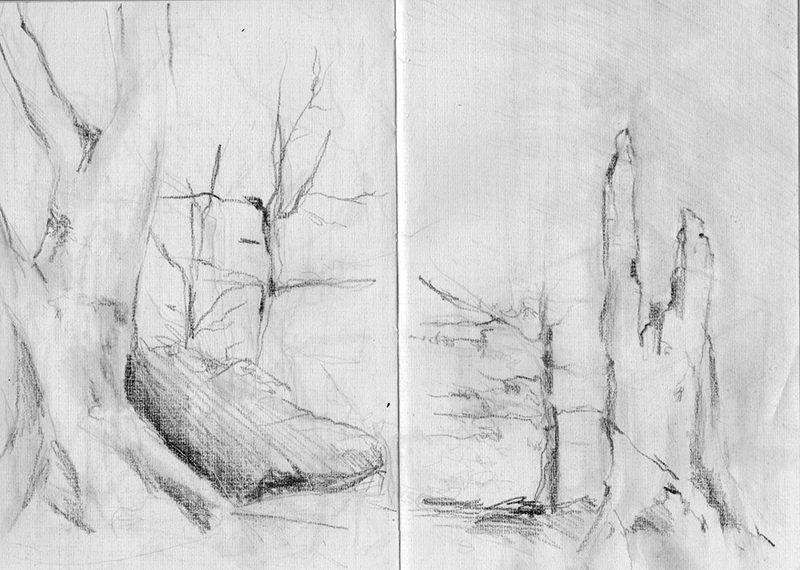 Forest Loose Sketch
